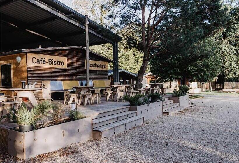 חדר סטנדרט עם טרסה, Destinature Dorf Südeifel