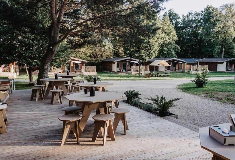 חדר סטנדרט לארבעה, Destinature Dorf Südeifel