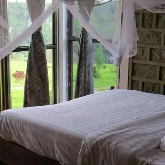 اتاق استاندارد یک نفره, Sipi Valley Resort