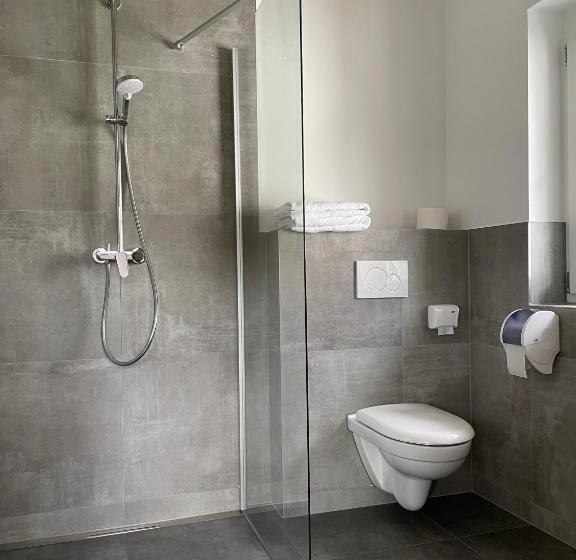 اتاق سوپریور, Landgasthaus Zum Kreuz Gbr