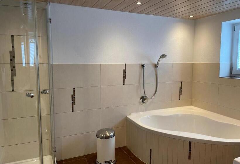 اتاق سوپریور, Landgasthaus Zum Kreuz Gbr