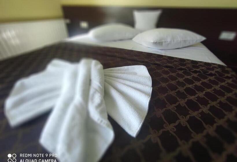 חדר סטנדרט, Tomis Pensiune