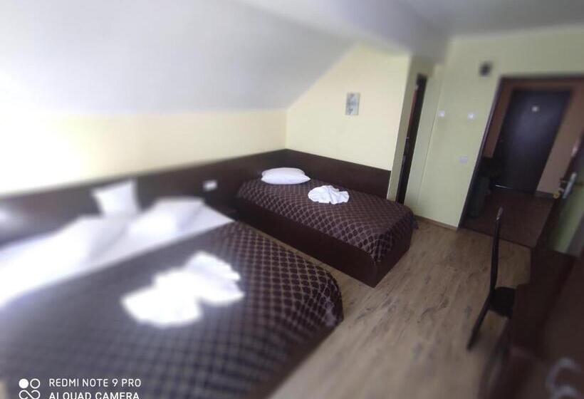 חדר סטנדרט לשלושה, Tomis Pensiune