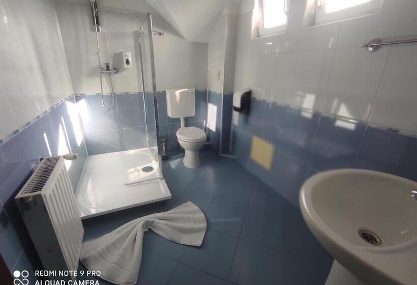 חדר סטנדרט לשלושה, Tomis Pensiune