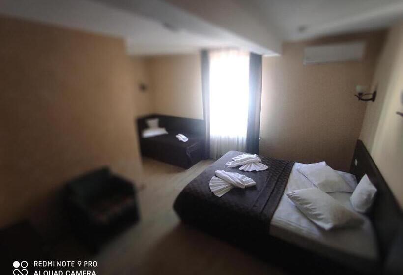 חדר סטנדרט לשלושה, Tomis Pensiune