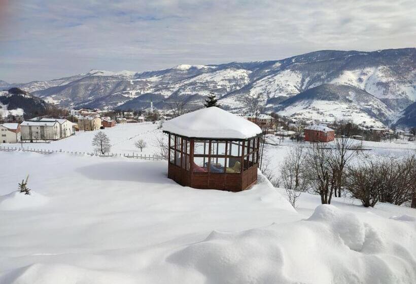 Bungalow Standard, Vi̇lla Devor