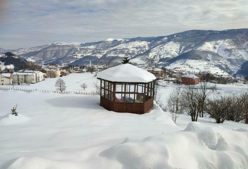 Villa 1 Camera da Letto Vista Giardino, Vi̇lla Devor