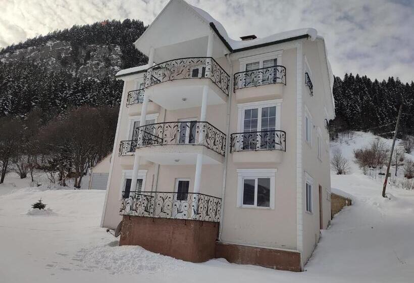 Villa Deluxe 1 Camera da Letto, Vi̇lla Devor