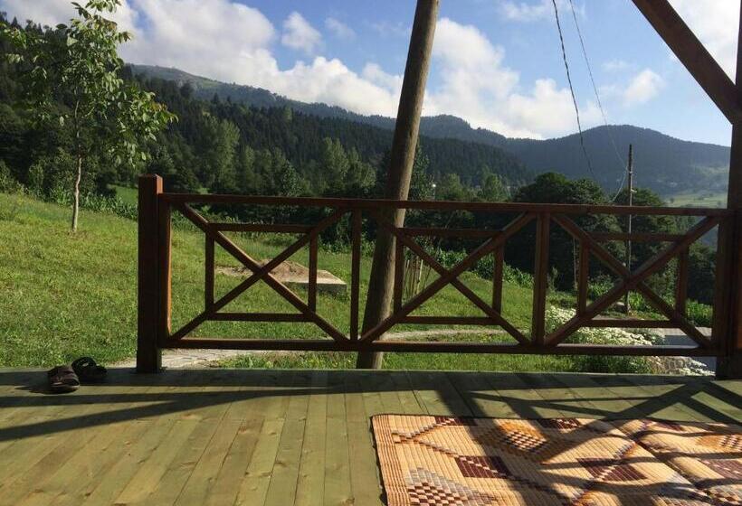 Bungalow Standard, Vi̇lla Devor