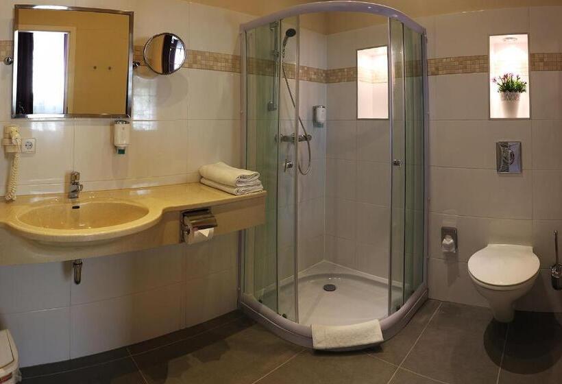 컴포트 싱글 룸, Berliner Hof