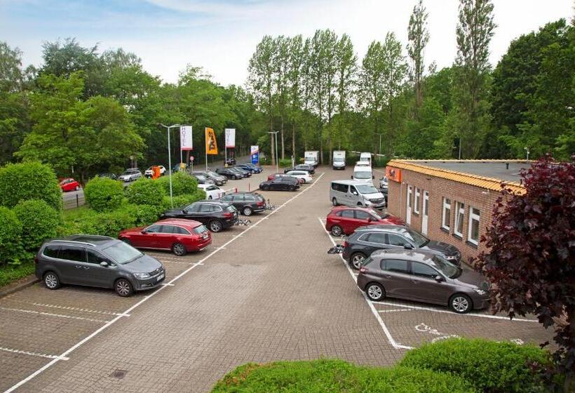 디럭스 룸, Kreuzer