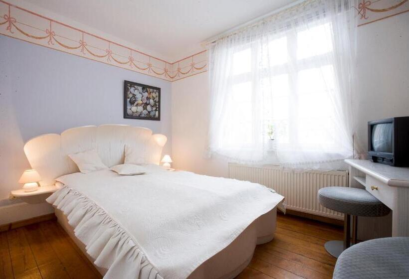 غرفة قياسية, Reingard