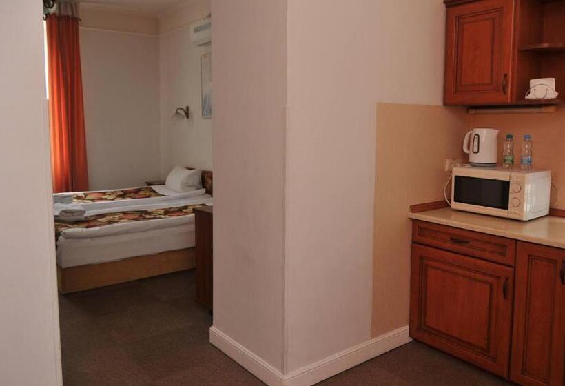 إستوديو قياسى, Irena