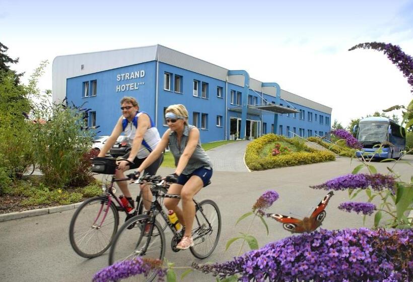 غرفة قياسية, Strandhotel Senftenberger See