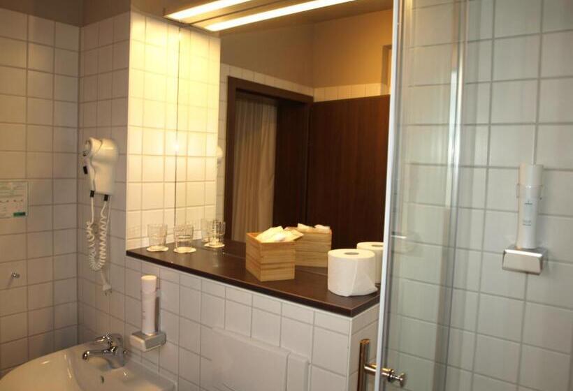 غرفة قياسية, Strandhotel Senftenberger See