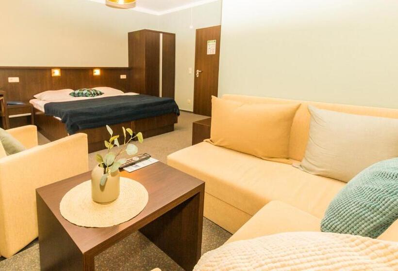 غرفة قياسية مطلّة علي البحيرة, Strandhotel Senftenberger See