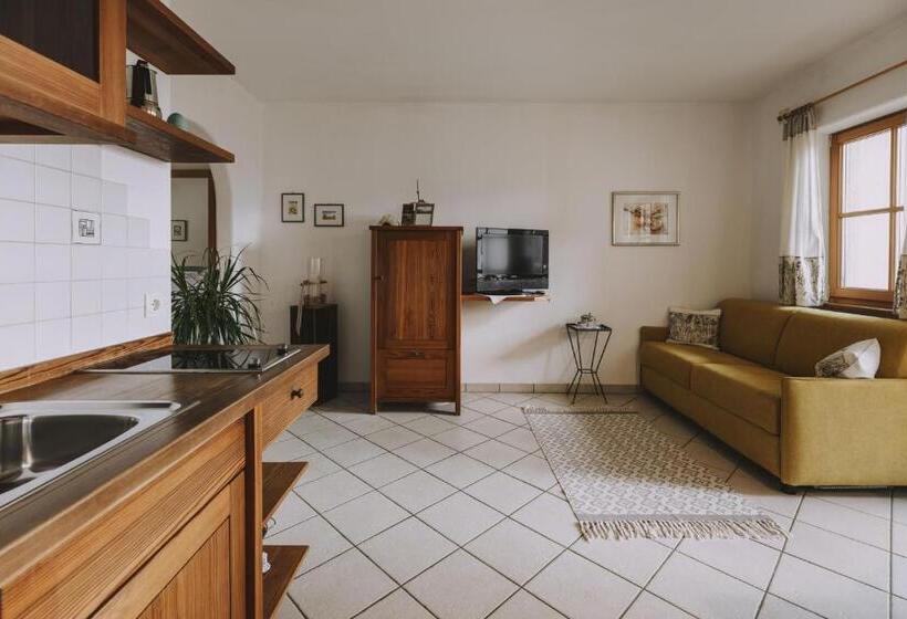 带1个卧室的带阳台的公寓, Weinberghof