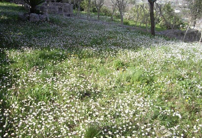 آپارتمان 1 خوابه, Trulli Convertini