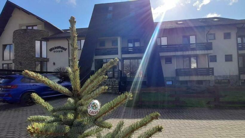 Номер Стандарт, Casa Domnească Cacica