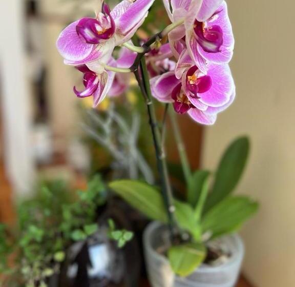 标准三人间, Casa Das Ancoras   Figueira Da Foz Buarcos