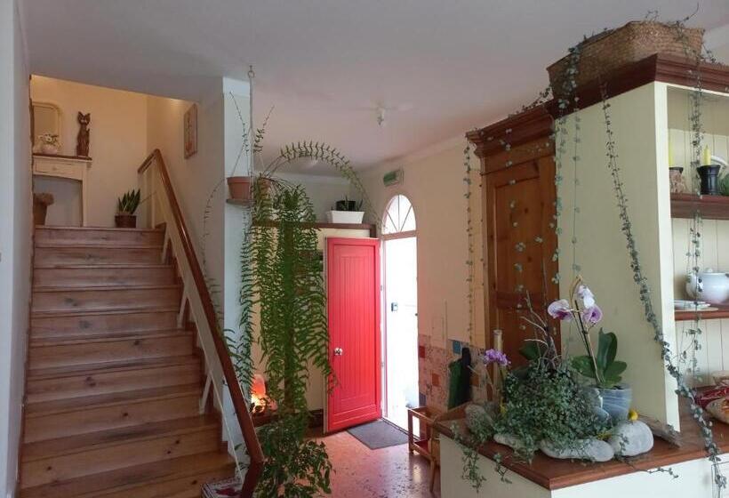 家庭工作室, Casa Das Ancoras   Figueira Da Foz Buarcos