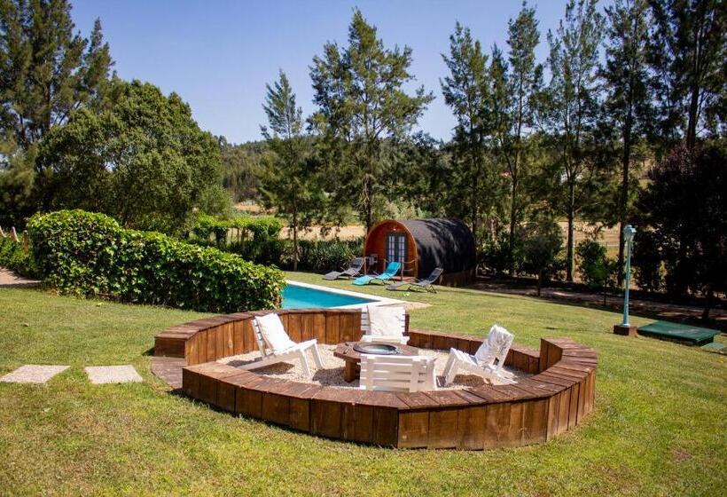 بنجلو ديلوكس, Alfaro 95