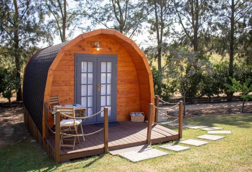 بنجلو ديلوكس, Alfaro 95