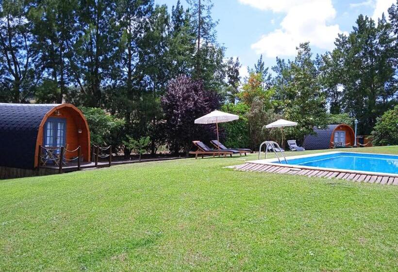 بنجلو ديلوكس, Alfaro 95