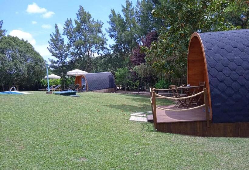 بنجلو ديلوكس, Alfaro 95