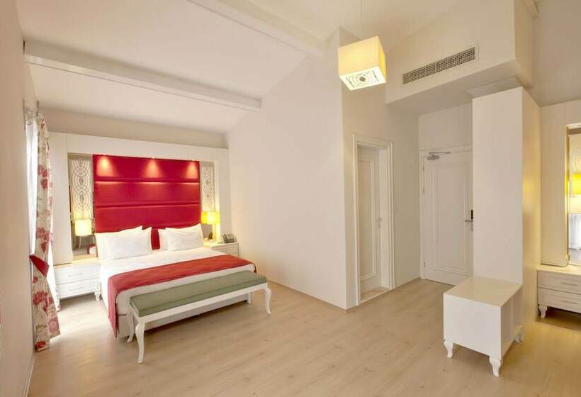 סוויטת ג'וניור, Baga