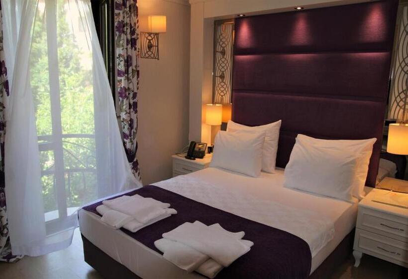 غرفة قياسية مطلّة علي الحديقة, Baga