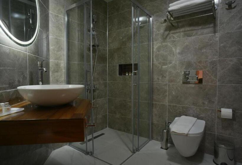 جناح مزود بجاكوزى, Baga