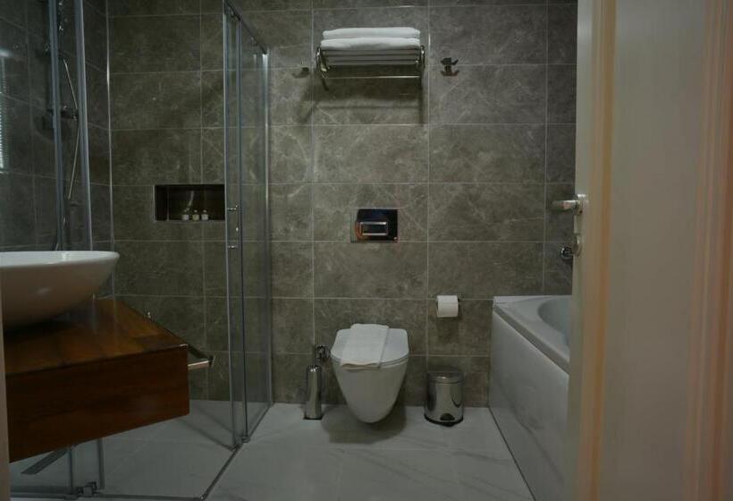 جناح مزود بجاكوزى, Baga