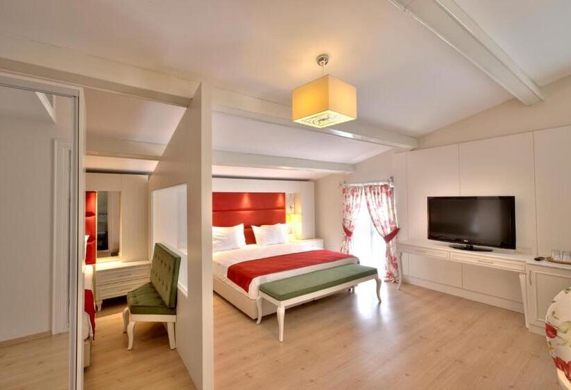 جناح مزود بجاكوزى, Baga