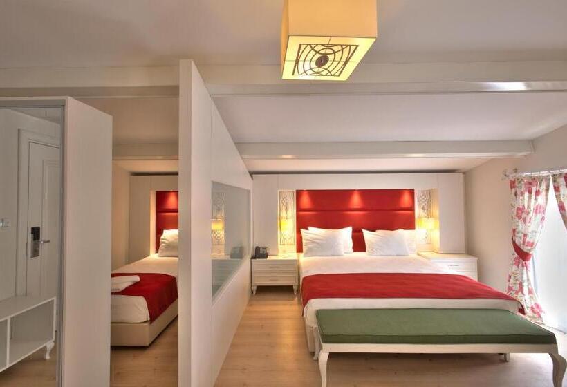 جناح مزود بجاكوزى, Baga