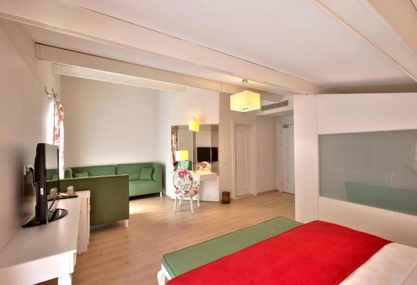 جناح مزود بجاكوزى, Baga