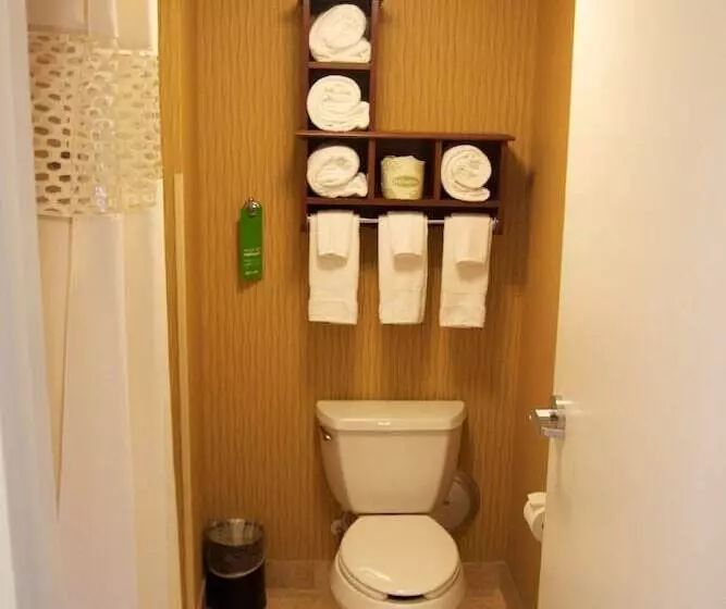 اتاق استاندارد, Hampton Inn & Suites Watertown