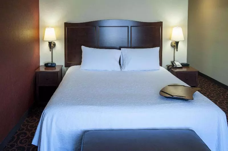 اتاق استاندارد با تخت بزرگ, Hampton Inn & Suites Watertown
