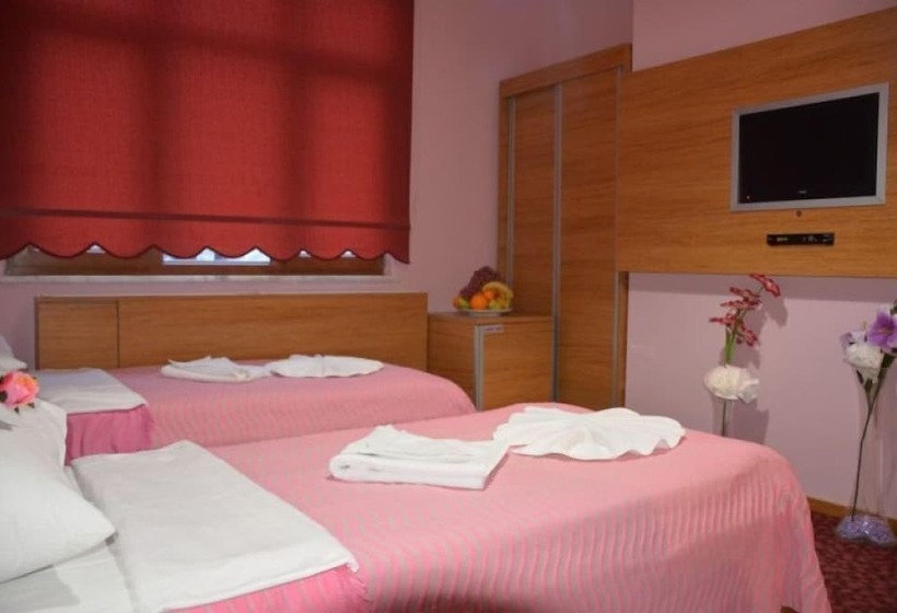 غرفة قياسية, Hopa Heyamo