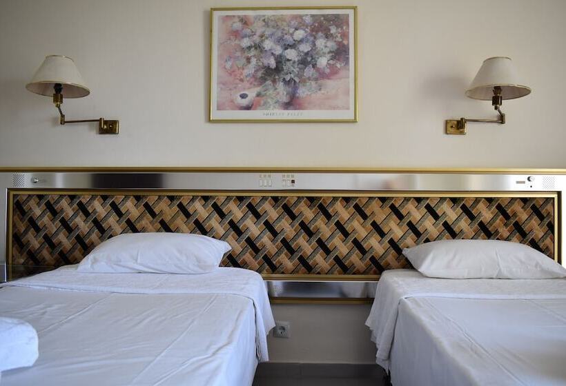 Номер Стандарт Вид на Море, Theoxenia