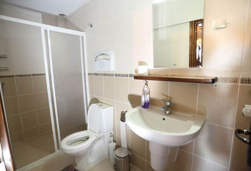 غرفة ديلوكس, Akropolis Guest House