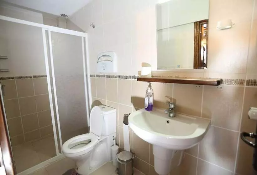 デラックスルーム, Akropolis Guest House