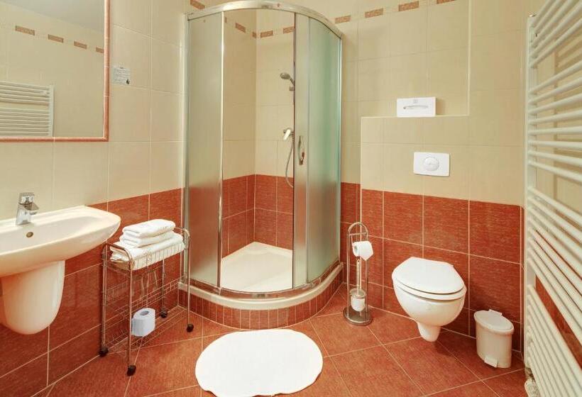 高级大房间, Penzion Harmonie