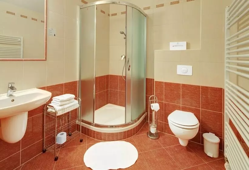 スーペリアシングルルーム, Penzion Harmonie