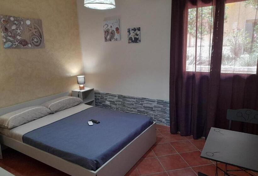 Номер Стандарт, La Cycas