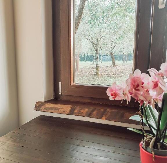 غرفة قياسية ثلاثية, Casale Dei Ricordi