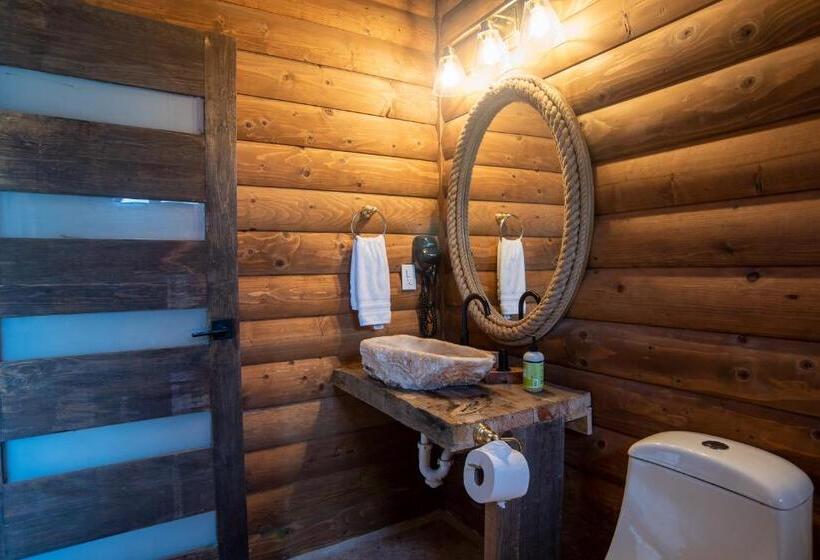 Стандартный Номер Кровать Кинг, Boskenvid Hotel Boutique, Skypool