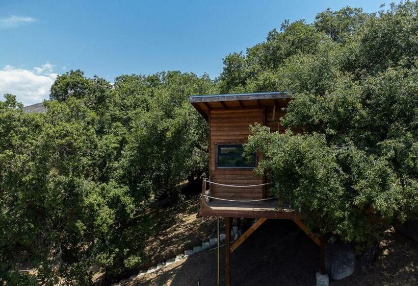 Стандартный Номер Кровать Кинг, Boskenvid Hotel Boutique, Skypool