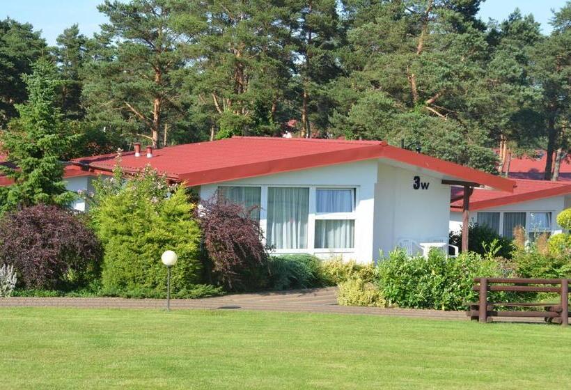 בקתה סטנדרטית, Aquapark Health Resort & Medical Spa Panorama Morska All Inclusive