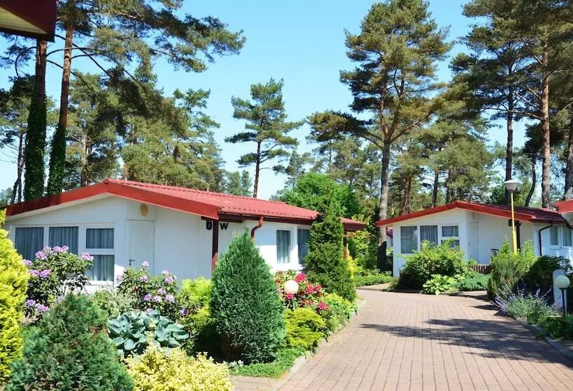 家族用バンガロー, Aquapark Health Resort & Medical Spa Panorama Morska All Inclusive